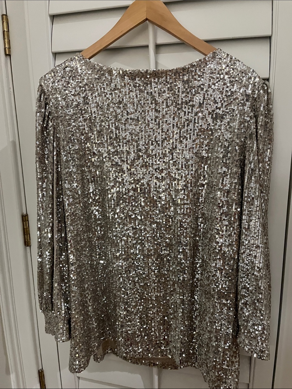 Cable & Gauge Silver Sequin Scoop Neck Blouse 3X - Picture 7 of 9